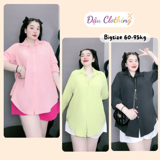 Set đồ bigsize nữ áo sơ mi tay dài dáng áo ulzzang kèm quần short chun dễ thương SET904