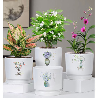  Chậu hoa gốm sứ men bóng chất lượng cao có đĩa đựng nước dính liền - Chậu trồng cây kèm dĩa 