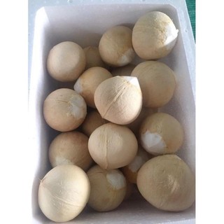 Dừa xiêm gọr trọc Bến Tre trong lượng từ 609g