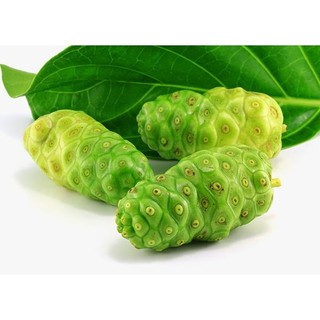 100 Hạt giống trái nhàu