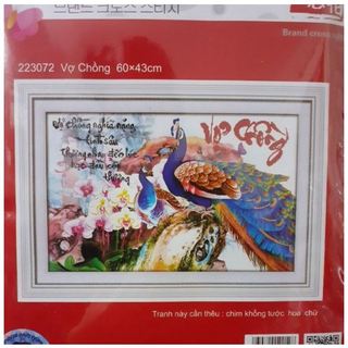 Tranh thêu chữ thập Dielianhua vợ chồng 223072 (KT: 60 x 43 cm)