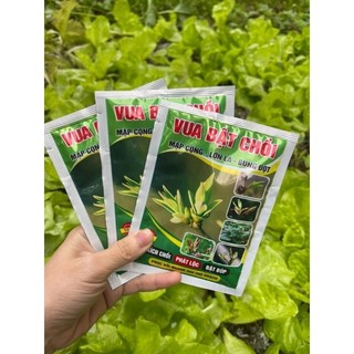 Combo 10 gói vua bật chồi - mập cọng, lớn lá , bung đọt