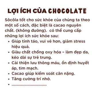 Socola bột nguyên chất 170g  SHE Chocolate