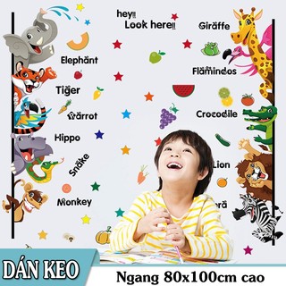 Decal trang trí tường - Thú tiếng Anh Hi Look Here cho Bé