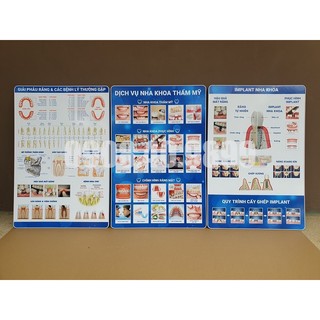 [Tranh gỗ] Tranh nha khoa tư vấn các chủ đề: dịch vụ, giải phẫu, răng sứ, implant, chỉnh nha...