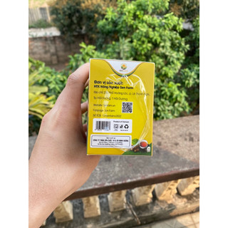 Trà ngưu bàng túi lọc