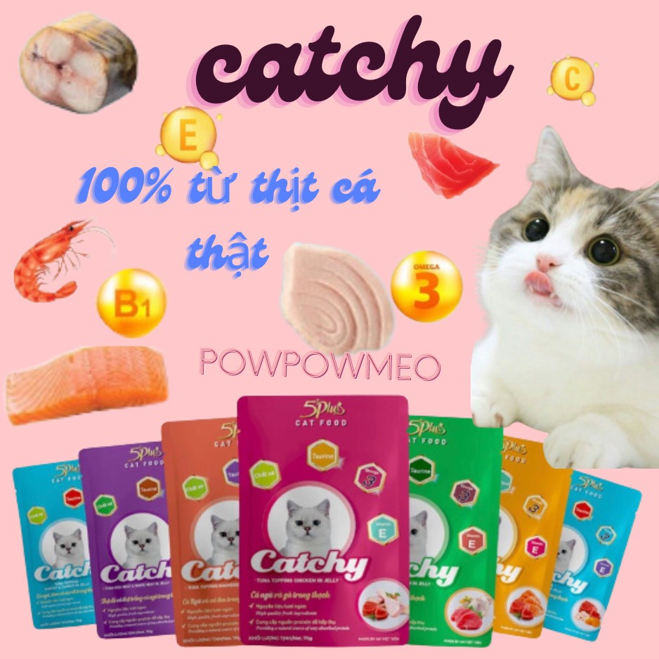 Pate cho mèo Catchy 5plus 70g