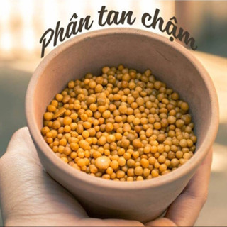 Phân chì vàng tan chậm NPK 14.14.14 gói 500gr (Vườn Sài Gòn)
