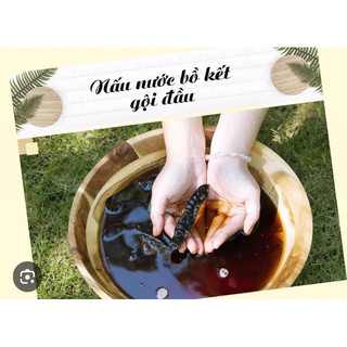Bồ kết khô 1kg ( hàng chọn loại 1)