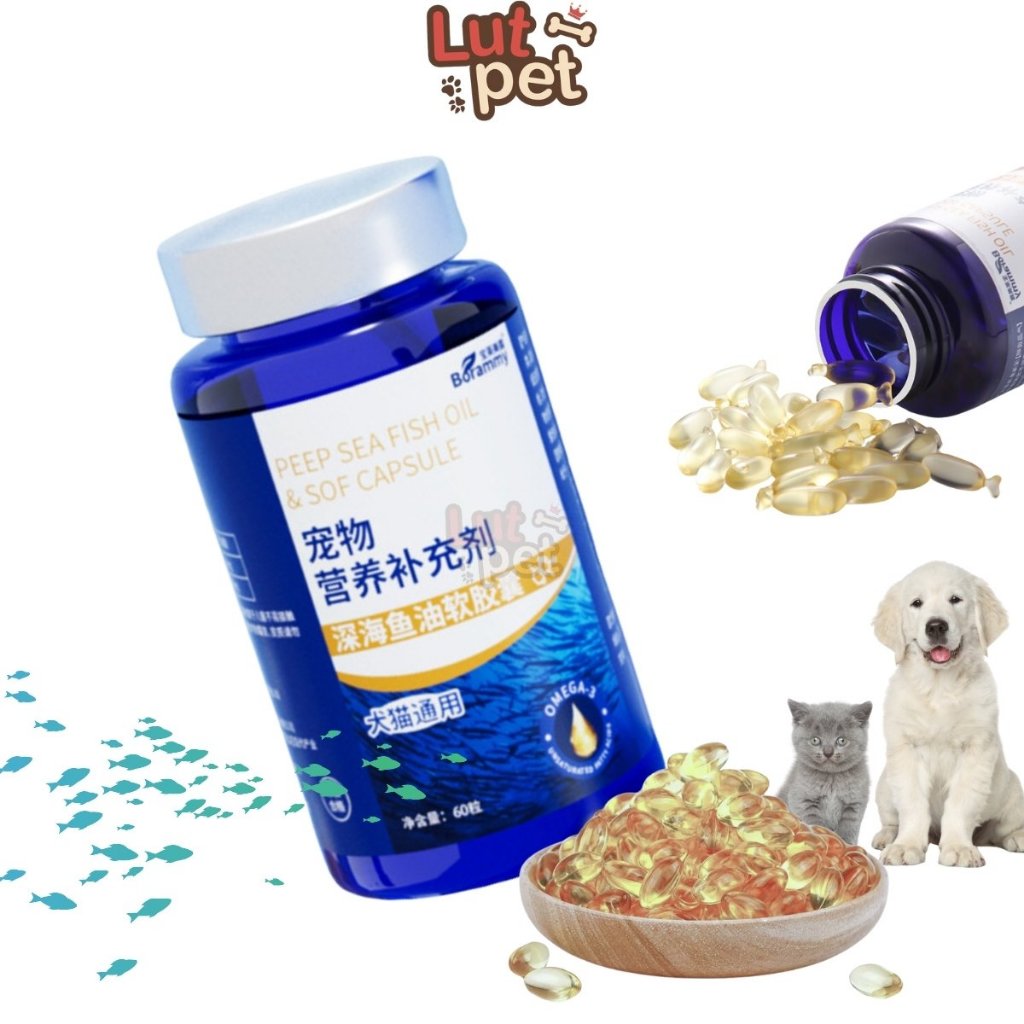 Dầu cá hồi cho chó mèo ngừa rụng lông, dầu cá hồi bổ sung vitamin e, omega3, DHA  (60 viên) - lutpet