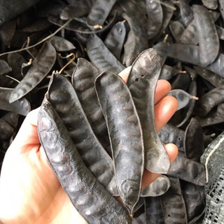 Bồ Kết Khô 1kg (bồ kết loại xô, hàng như hình)