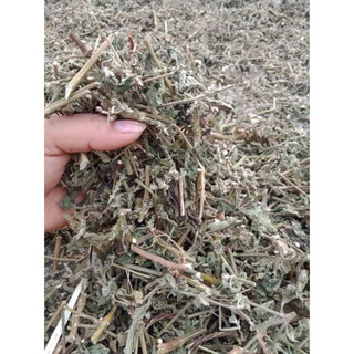 Hương nhu khô 500g