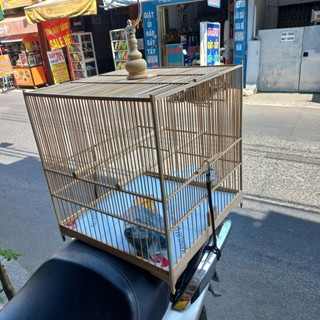Dây cột lồng chim