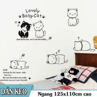 Decal trang trí Mèo Con dễ thương Love Baby Cat