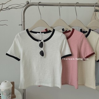 ÁO PULL TRƠN CHẤT XỐP HÀN VIỀN FREE SIZE 818