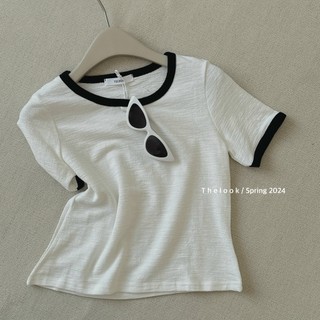 ÁO PULL TRƠN CHẤT XỐP HÀN VIỀN FREE SIZE 818