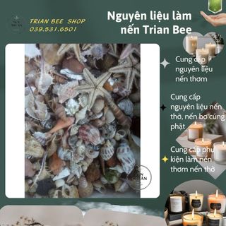 Vỏ ốc biển, sỏi biển - phụ kiện trang trí