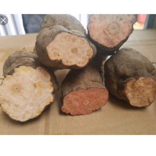 Hà Thủ Ô Đỏ Khô 1kg (hà thủ ô gội đầu)