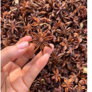Hoa hồi khô Lạng Sơn 100g