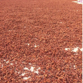 Hoa hồi khô Lạng Sơn 100g