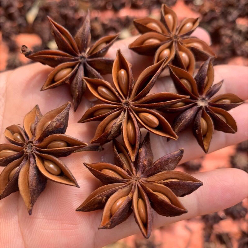 Hoa Hồi Khô Lạng Sơn  (hoa hồi loại 1, khô, thơm, sạch)