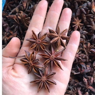 Hoa Hồi Khô Lạng Sơn  (hoa hồi loại 1, khô, thơm, sạch)