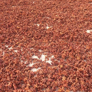 Hoa Hồi Khô Lạng Sơn 500g( hàng loại 1, khô, thơm, sạch)