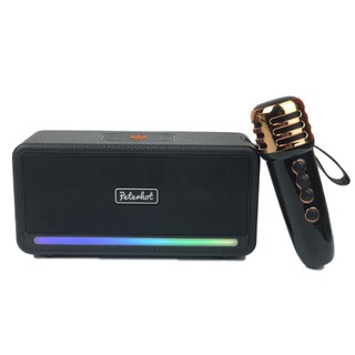 Loa Karaoke bluetooth A2203 không dây công suất lớn kèm mic đèn và đèn led nháy theo nhạc