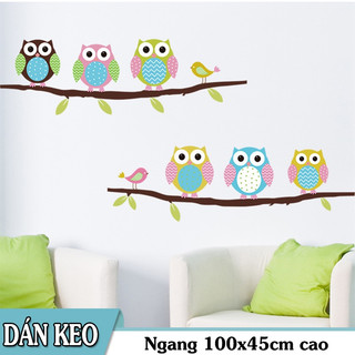 Decal trang trí tường - Cành Cây và Bày Chim Cú Sắc Màu