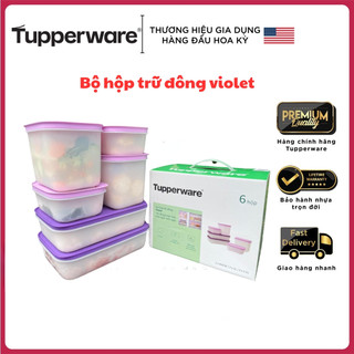 Bộ hộp trữ đông Violet Tupperware Hộp đông dẻo Hộp trữ đông khó vỡ Hộp nhựa nguyên sinh tup việt bảo hành trọn đời sp 