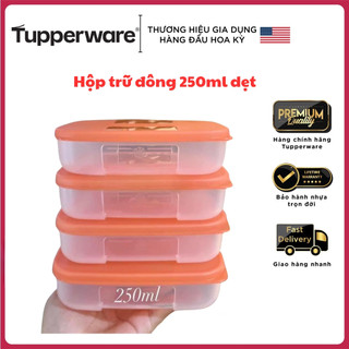 Hộp trữ đông dẹt 250ml, hộp bảo quản thực phẩm, Hộp đựng thức ăn tiết kiệm diện tích Tupperware bảo hành trọn đời