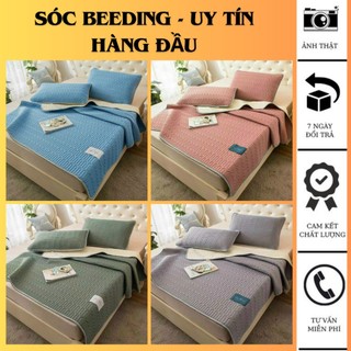 Chiếu điều hòa cao su, chiếu cao su latex, chiếu cao su + tăng kèm thảm chân