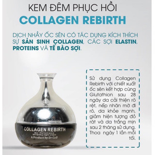 Kem đêm dưỡng trắng mờ thâm Collagen Rebirth Drcell 30g