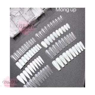 Móng úp tay giả đủ phom vuông thang nhọn bầu HSM chính hãng nhám đục trong chuẩn size Hàn Quốc nail 500 móng - Miu Nail