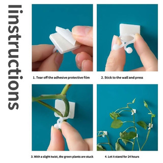 Móc dáng tường sét 10 móc. dùng cố định dây leo.!!!
