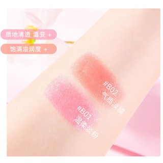 Son dưỡng có màu Heyxi (hàng nội địa Trung)