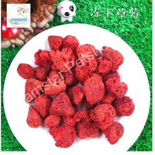 Dâu sấy đông khô cho Hamster, sóc , nhím, thỏ , bọ 13g