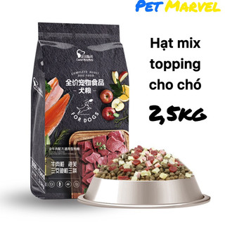  Hạt Captain dinh dưỡng cho cún 2.5Kg trộn phô mai thịt bò cá hồi - Loại bao lớn 2.5Kg 