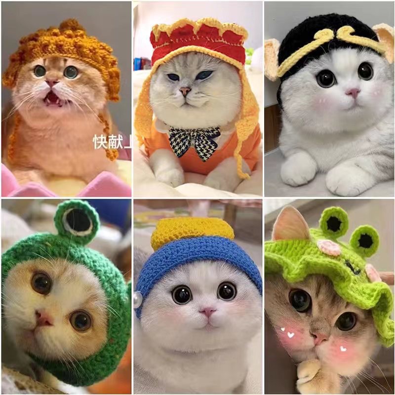 Mũ len cho thú cưng cực xinh 🥰