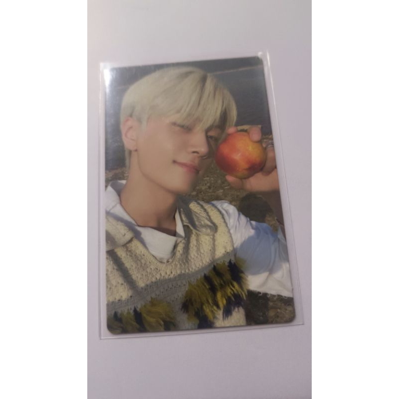 thẻ ảnh photocard enhypen jay orange blood chính hãng album photocard off ( jay táo apple official)