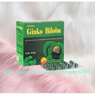 GINKO BILOBA 120MG Vinaphar -  Hộp 100 viên - tăng cường lưu thống máu, tăng lưu lượng tuần hoàn máu não