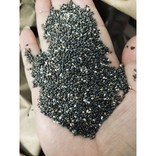1kg hạt chia Organic Úc túi Tím sạch Loại 1