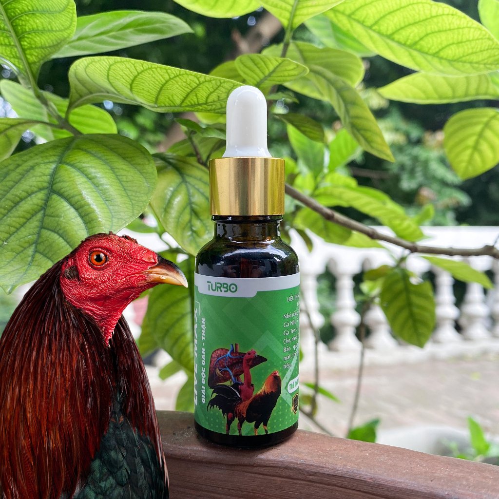 2 lọ giải độc gan thận cho gà