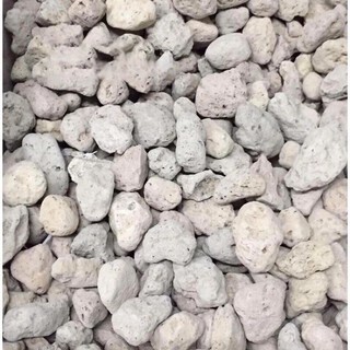 Nham Thạch Trắng ( Đá Lông vũ) Làm Vật Liệu Lọc Hồ Cá Bể Cá Túi 1kg