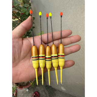 Phao điện câu lục , câu cá đầu cần gần bờ