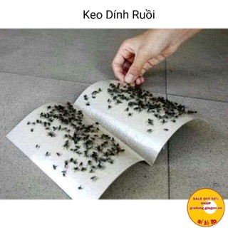 5 Tấm keo dính ruồi , vỉ dính ruồi , bẫy ruồi.