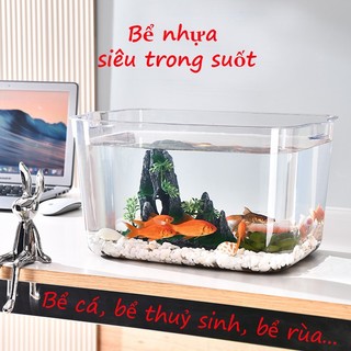 Bể nhựa trong suốt nuôi cá cảnh, bể thủy sinh băng nhựa chất liệu PET bền đẹp kích thước lớn. Bể cá để bàn trong suốt