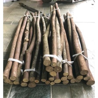 Combo 10 Cành củi khô trang trí decor