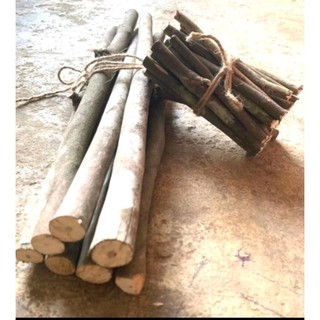 Combo 10 Cành  củi khô trang trí decor