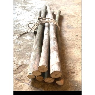 Combo 10 Cành  củi khô trang trí decor